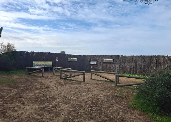 Tierra Y Mar